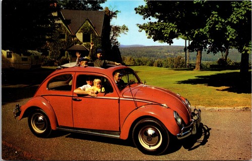 Vintage chrome postcard - vintage,